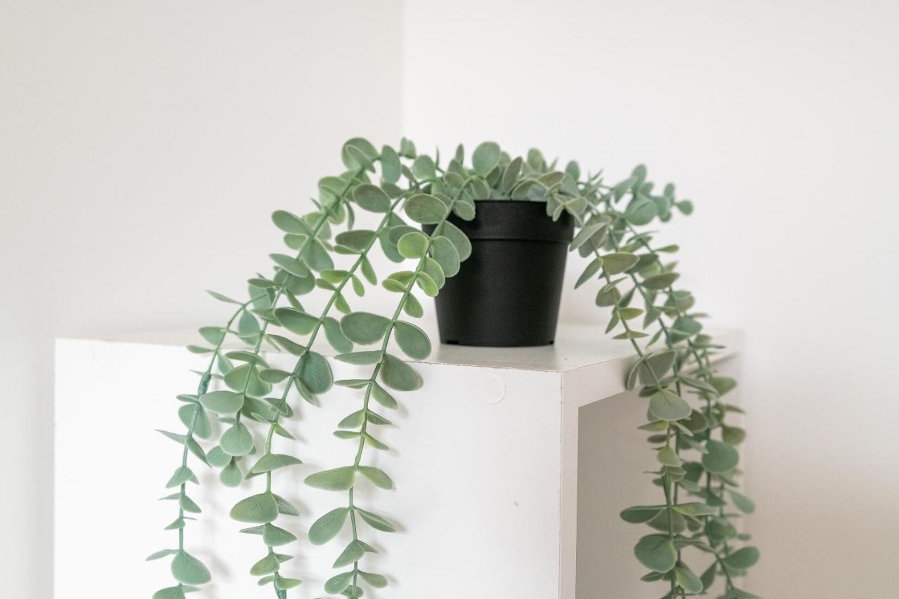 Malaka Home Anzin Ngoại thất bức ảnh