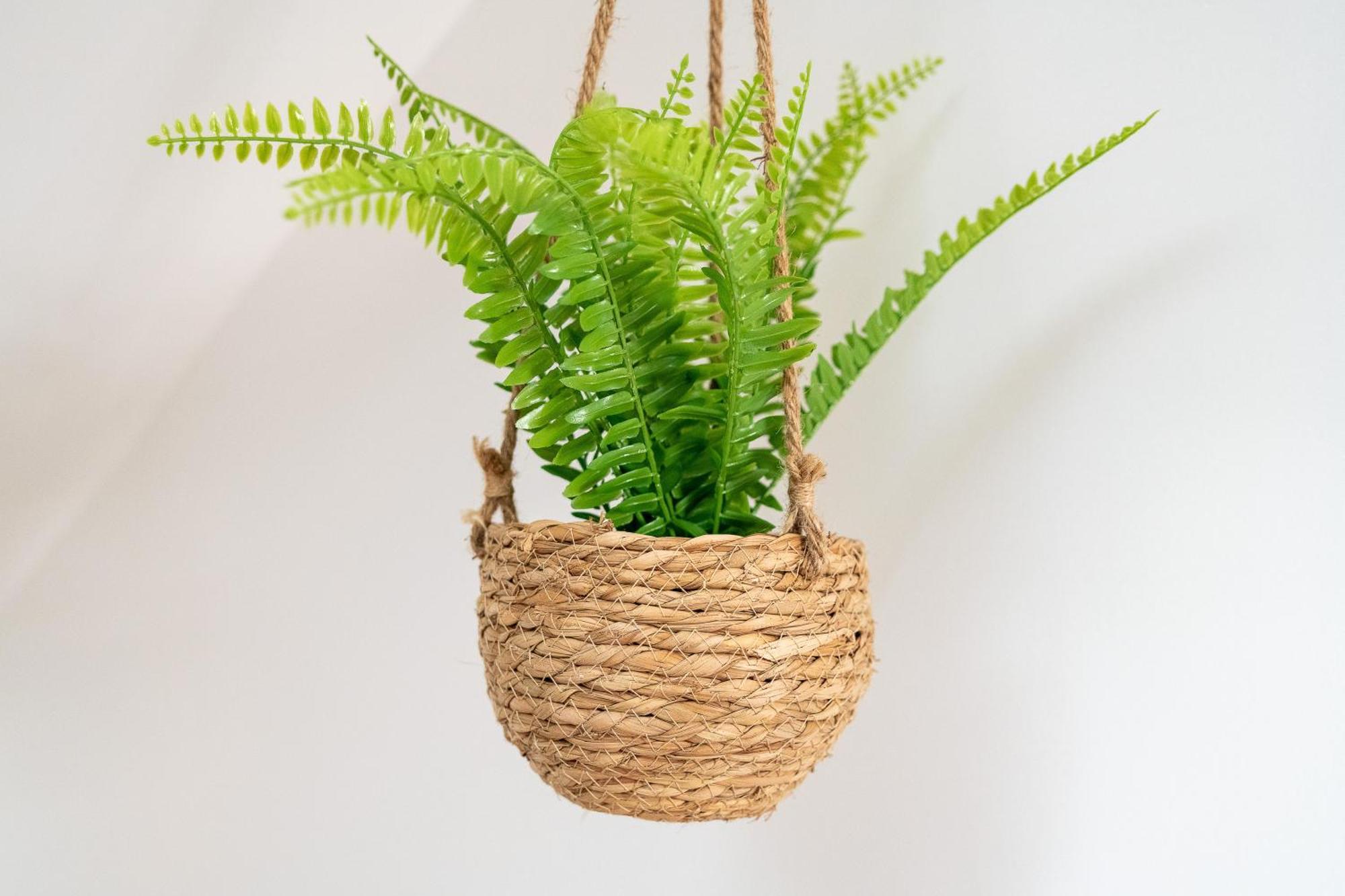 Malaka Home Anzin Ngoại thất bức ảnh